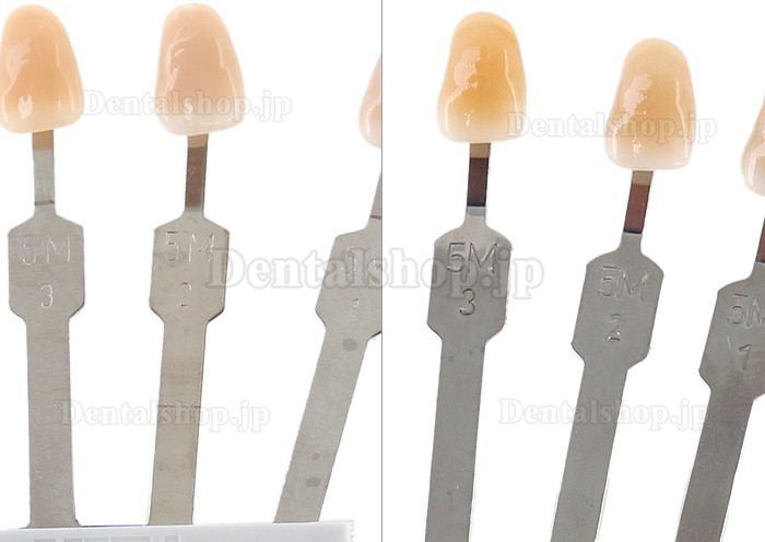 VITA® 3Dシェードガイド|歯科用シェードガイド通販-Dentalshop.JP
