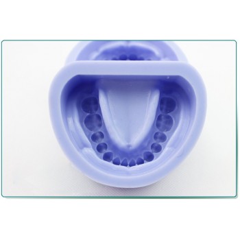ENOVO®歯科石膏模型製作実習用シリコーンゴム型