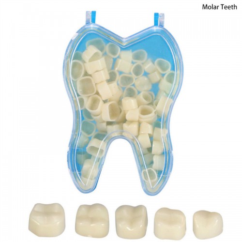 50PCS树脂歯科用臨時クラウン 前歯臼歯クラウン 人工歯