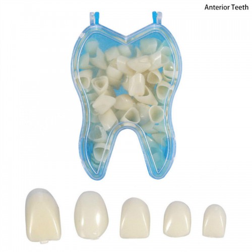 50PCS树脂歯科用臨時クラウン 前歯臼歯クラウン 人工歯