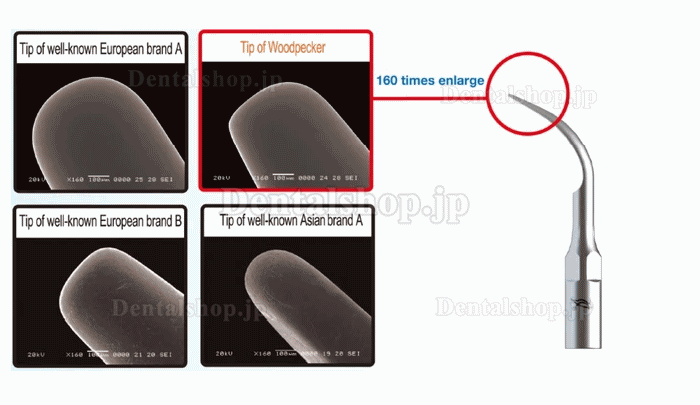 10Pcs Woodpecker 歯科用超音波スケーラーチップ 歯周治療 P1 P2L P2R P2LD P2RD P3 P3D P4 P4D