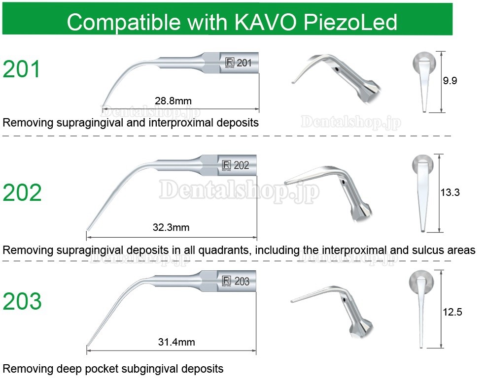 5Pcs Refine® 超音波スケーラー用チップ 201 202 203 KAVO PiezoLed 超音波スケーラーハンドピースと互換性あり