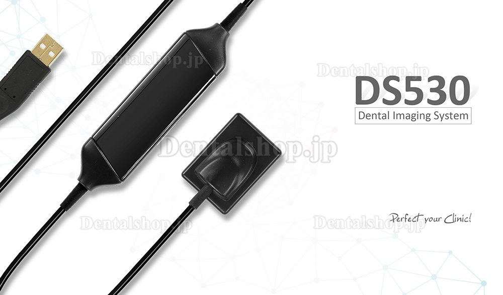 Runyes DS530 歯科用画像システムX線デジタルセンサー X線センサー