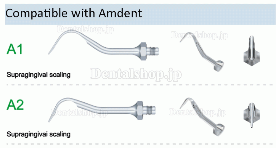 10Pcs Refine 歯科用超音波スケーラーチップ A1 A2 AE1 AE2 Amdent LM 超音波スケーラーハンドピースと互換性あり