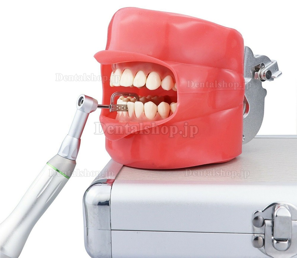 Westcode 矯正歯科用4:1コントラアングルハンドピース IPRシステム