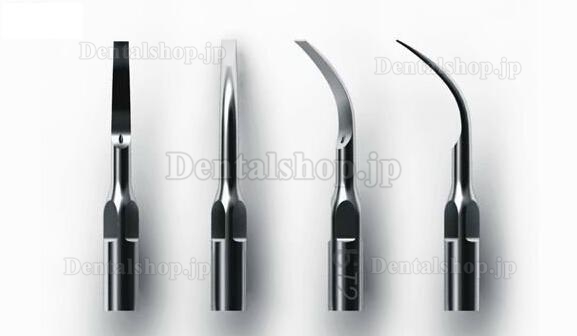 Baola®超音波スケーラー用チップT2（10本入）