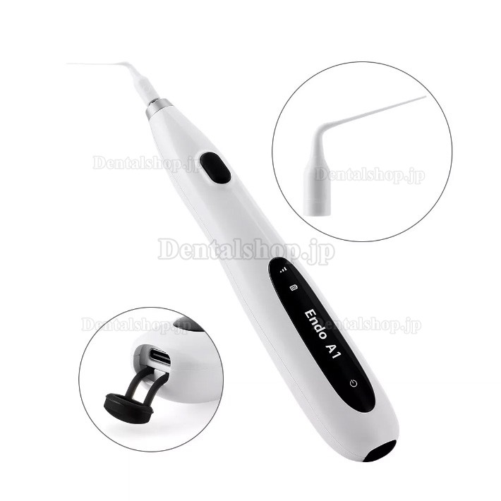 Betterway Endo A1 歯科用超音波根管洗浄器 (エンドチップ 60 個付き)