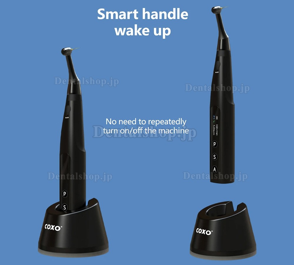 COXO C-Smart Mini AP+ ワイヤレス ブラシレス エンドモーター (根管長測定器 emr 付き)