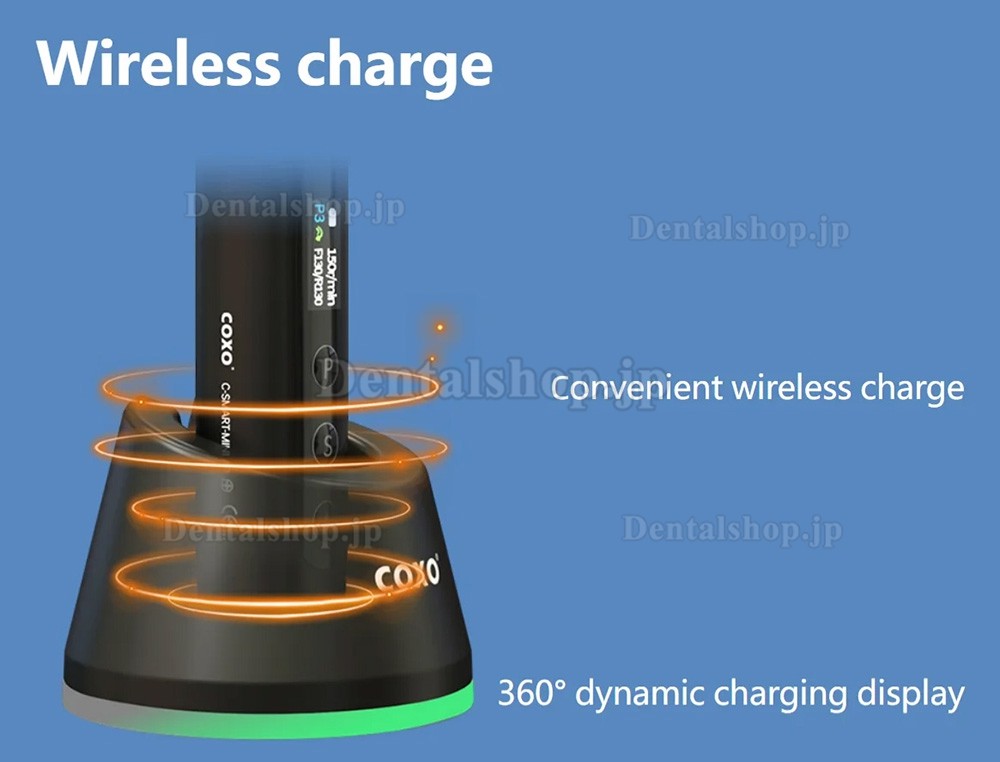 COXO C-Smart Mini AP+ ワイヤレス ブラシレス エンドモーター (根管長測定器 emr 付き)