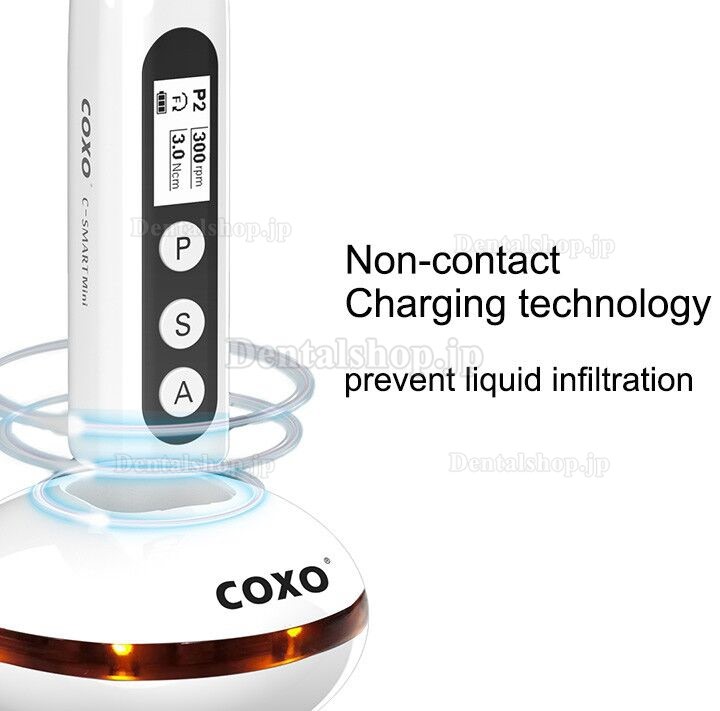 YUSENDENT COXO C-Smart-Mini 根管モーター 根管治療機器