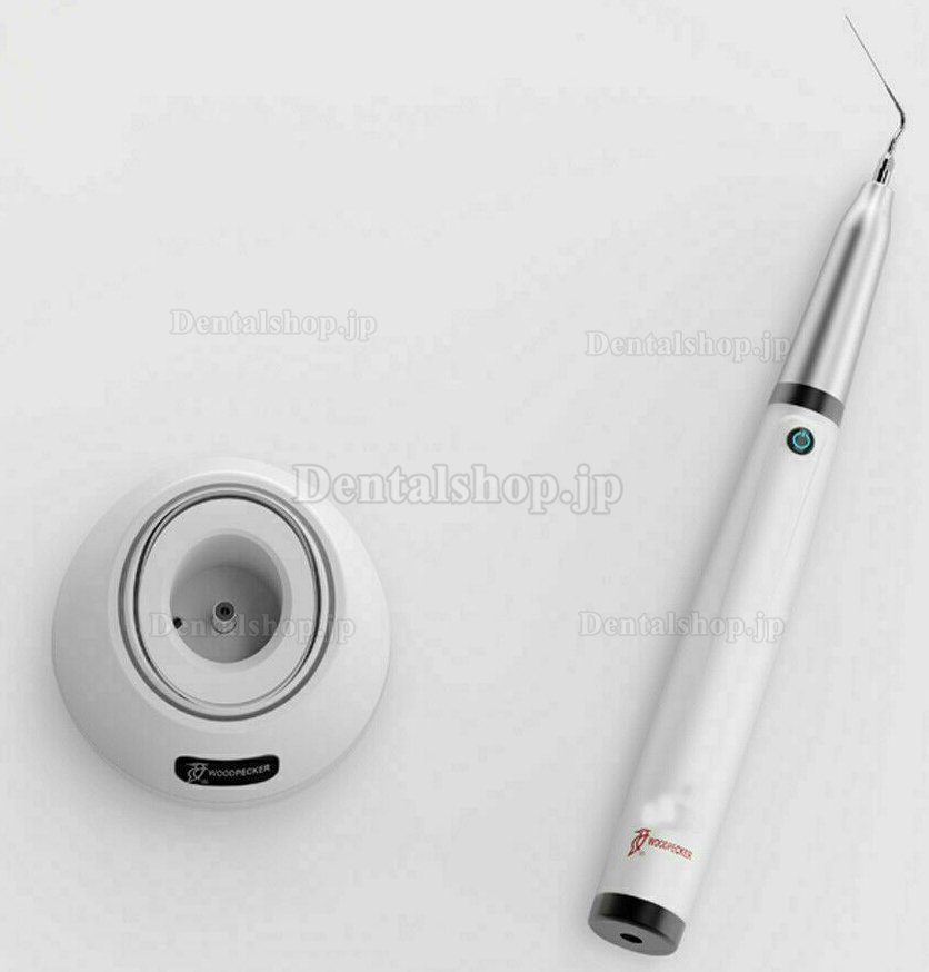Woodpecker DTE Endo 1 人間工学的歯科用超音波根管洗浄器