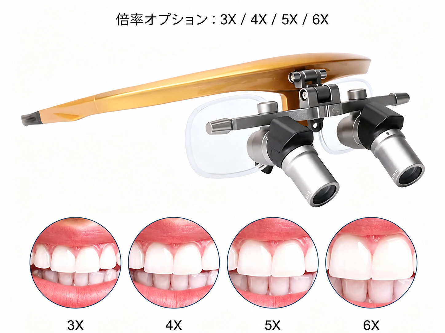 YUYO Ergo 歯科用エルゴフリップ アップルーペ (3倍/4倍/5倍/6倍) YUYO Ergo 歯科用エルゴフリップ アップルーペ (3倍/4倍/5倍/6倍)