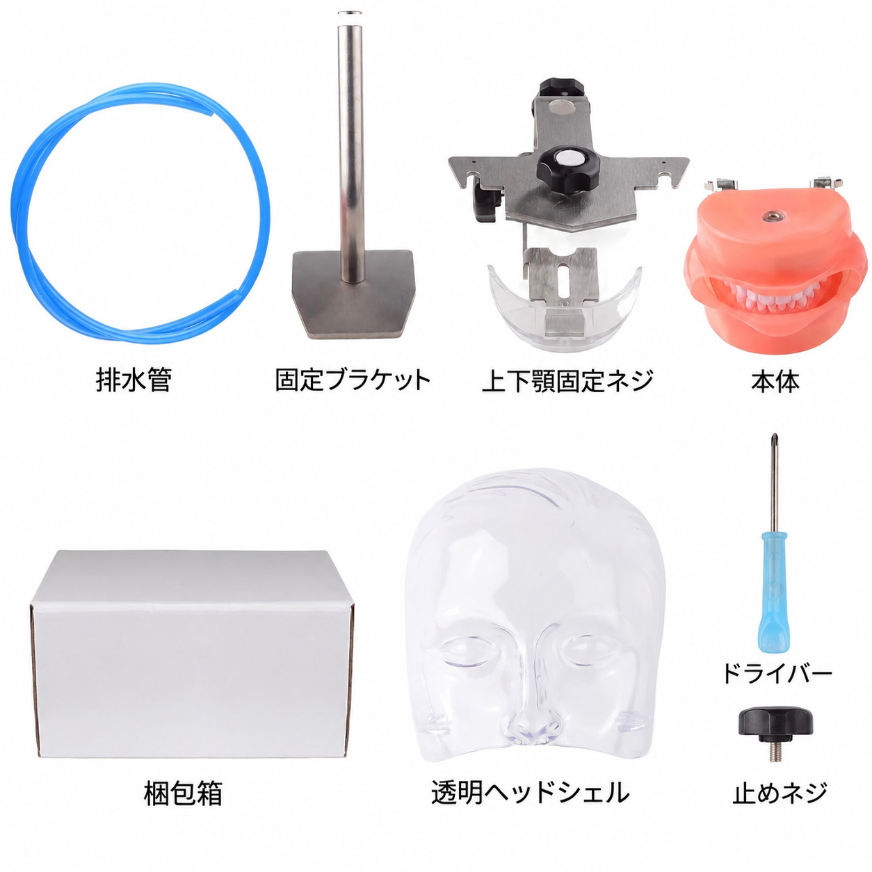 歯科用簡易マネキン(ファントムヘッド)モデル、28歯タイポドント付き、Nissinと互換性あり 歯科用簡易マネキン(ファントムヘッド)モデル、28歯タイポドント付き、Nissinと互換性あり
