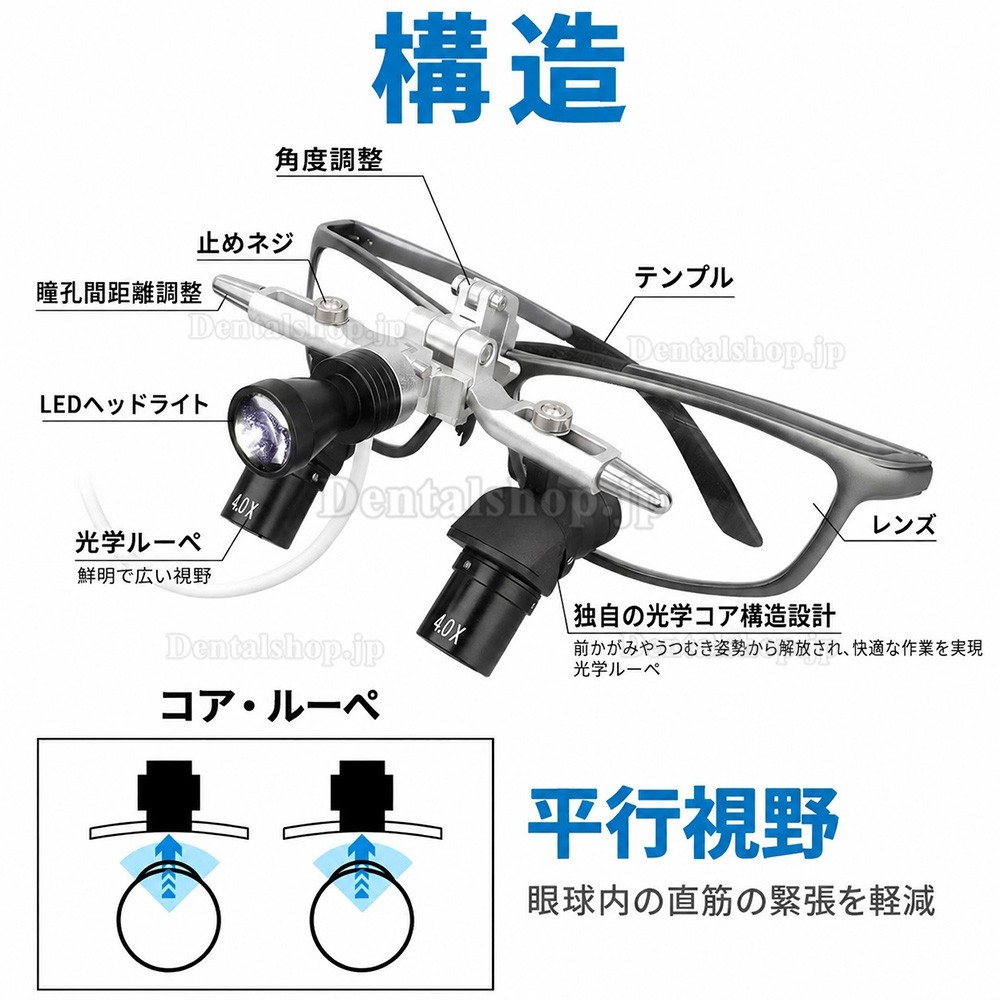 4.0倍 48&deg; 歯科用エルゴルーペ（瞳孔間距離調整機能付き）+ 5W LEDヘッドライト
