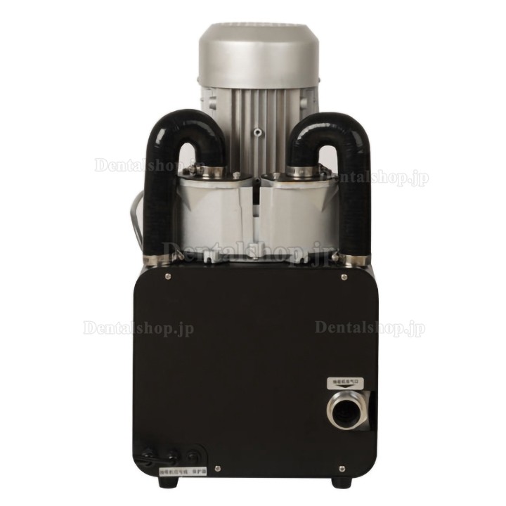 Dynamic DS01 / DS02 / DS04 口腔内バキューム/歯科用真空ポンプ 0.45KW / 0.8KW / 1.3KW