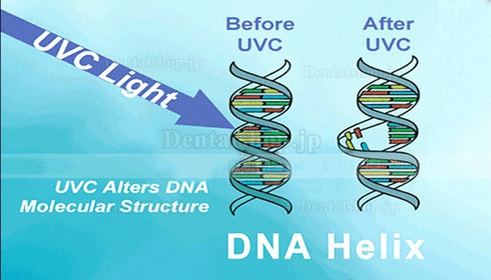 FY® 30FSI UV+オゾン消毒ランプ 紫外線滅菌器トロリー 除菌器 UV殺菌灯 赤外線センサー付き