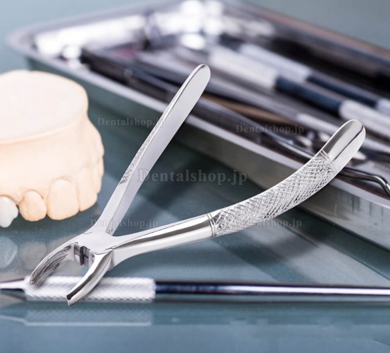 10 Pcs/set 歯科医用抜歯鉗子 歯科用プライヤー 歯科手術用抜歯器具