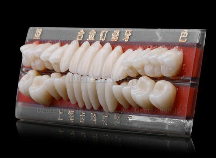 1セット24# 歯科義歯材料合金ピン陶磁色シェードガイド