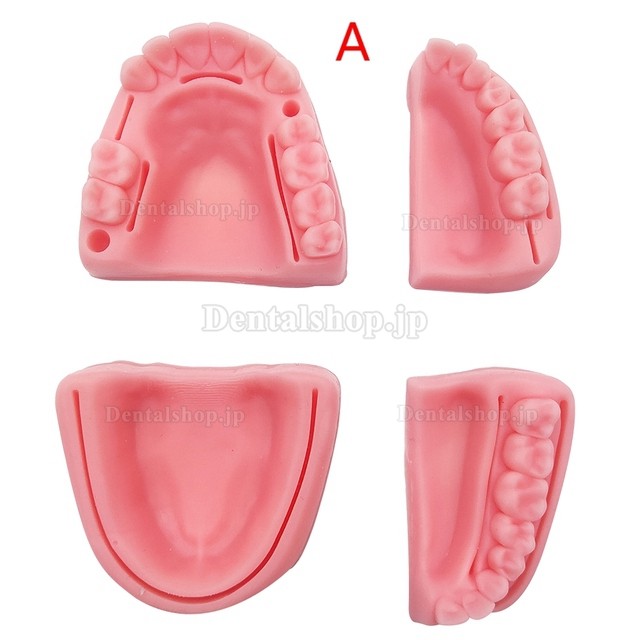 歯科用口腔縫合訓練モジュールキット 練習セット 歯科医用模型 歯科教学モデル