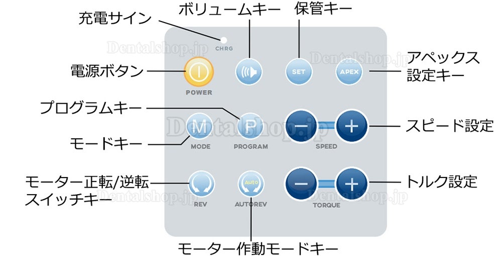 歯科根管治療機器モーターR-Smart Plus + コントラアングル