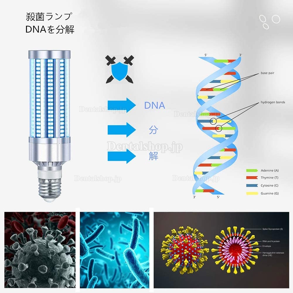 60W LED紫外線UV殺菌灯 消毒ライト 殺菌ランプ UVライト E27ランプホルダー オゾン除菌ランプ 家庭学校ホテル用紫外線ランプ