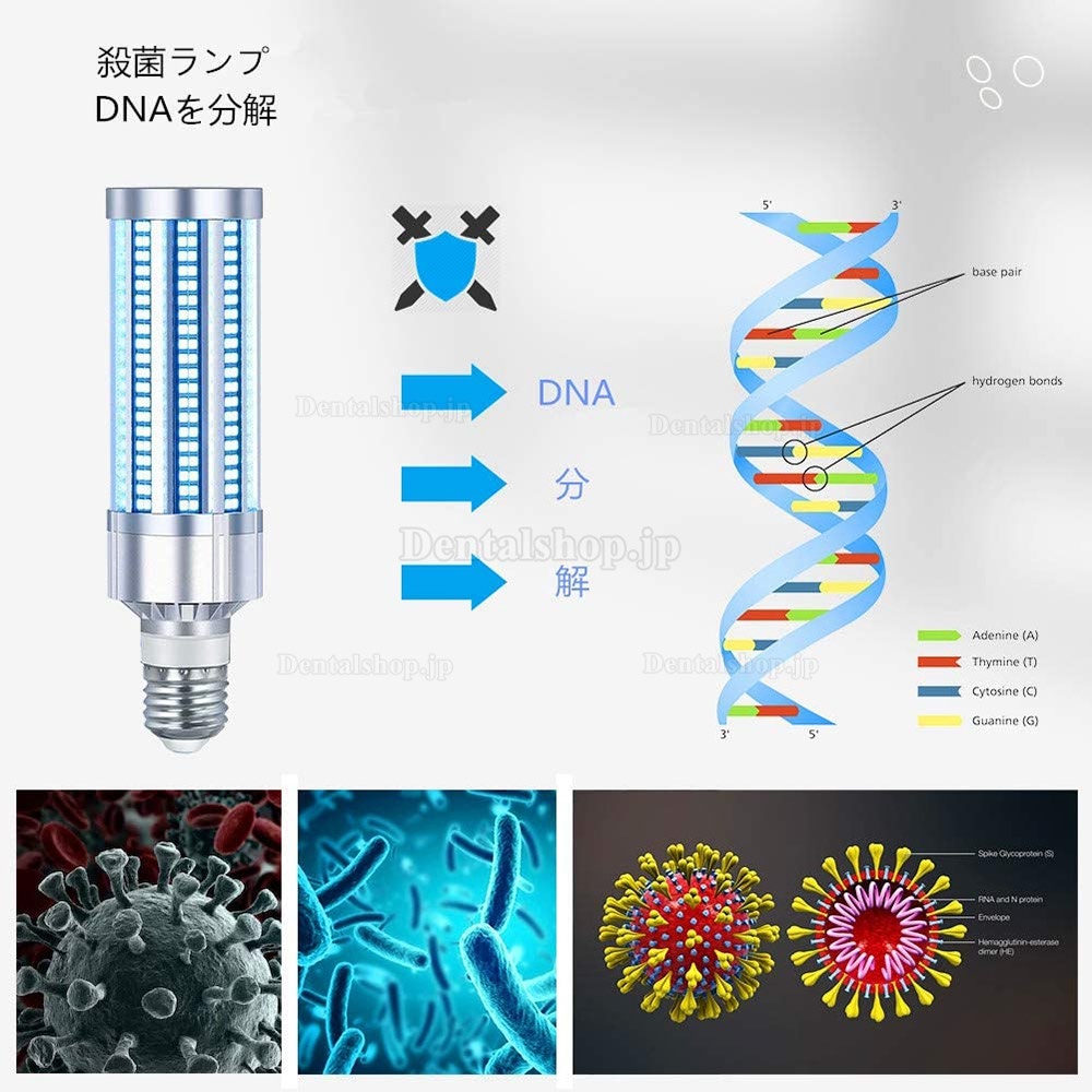 60W LED紫外線UV殺菌灯 消毒ライト 殺菌ランプ UVライト E27ランプホルダー オゾン除菌ランプ 家庭学校ホテル用紫外線ランプ