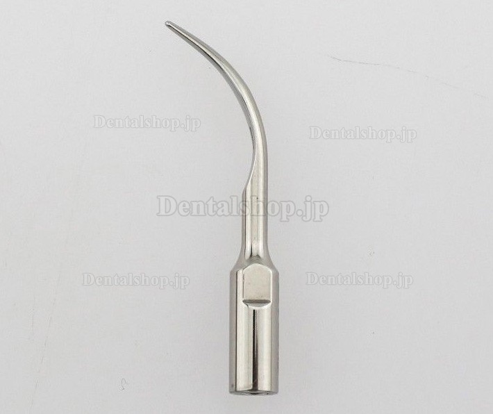 Woodpecker®超音波スケーラー用チップGD5（DTEシリーズ/SATELECと互換、10本入）