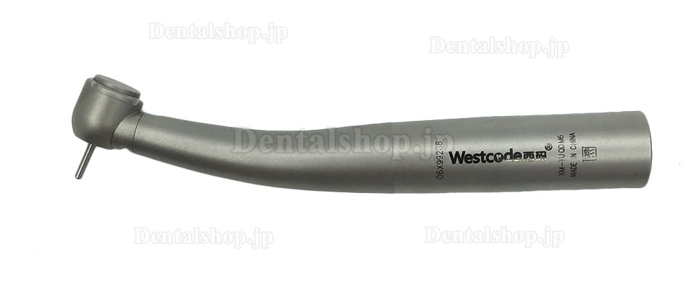 Westcode 歯科用ハンドピース プッシュボタン 光ファイバー ステンレス鋼 低騒音