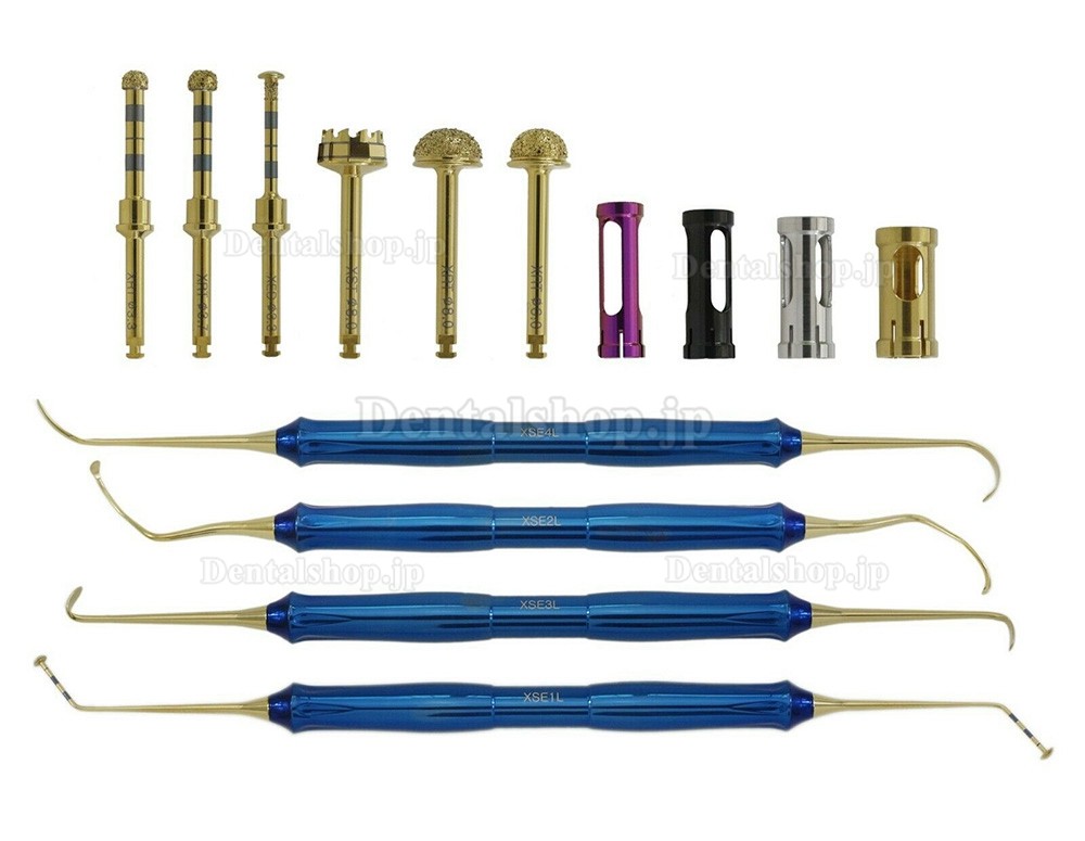 Dentium® サイナスリフトインスツルメント キット 上顎洞挙上キット サイナスリフト用器具