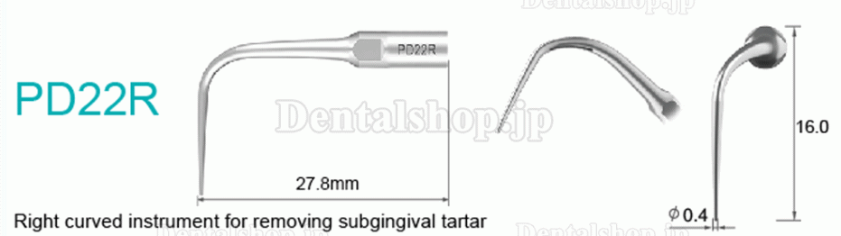 10Pcs Refine® 超音波スケーラーチップ PD2L PD2LD PD2R PD2RD PD5 PD6 PD7 PD8 PD10 SATELEC NSK DTE GNATUSと互換性あり